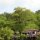 am Fluss-Ufer