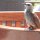 Staren-Vogel im Restaurant