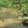 Fluss beim 'Bidayuh-Longhouse'