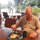Abendessen am Fluss