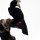 schwarz-weisser Hornschnabel-Vogel