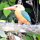 Grosser King-Fisher