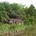 Ufer-Landschaft