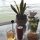 unsere Drinks an der Bar