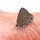 ein Schmetterling auf Mariannes Fuss liebt Sonnencreme