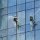 Fenster-Putzer an der Glasfassade