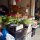 auf dem Markt