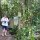 es gibt verschieden Rund-Touren in den Nationalpark-Wald