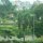 Abschied von Ipoh