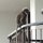 ein Affe auf dem Balkon-Beländer