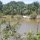 Fluss bei 'Kg.Penarik'