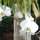 Orchideen in der Hotel-Anlage