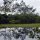 Sumpf-Landschaft