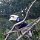 grosser 'Hornbill'-Vogel (Hornschnabel-Vogel)