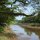 am Fluss in Pekan