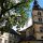 Naturkunde-Museum + St.Martin-Kirche