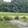 Stromschnellen an Donau-Nebenarm