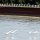 fliegende Schwäne über dem Donaukanal