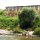 Badestrand vor Kirchen-Ruine