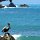 Pelikan bei Brewers Bay Beach