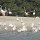 Flamingo-Lagune