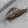 Schnecke