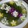 Blumen-Dekoration im Hotel