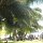 an der Anse Volbert