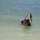 Schnorcheln an der Anse Boudin