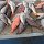 in der Markthalle ; Fischmarkt