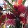 in der Markthalle ; Blumenmarkt