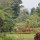 in der Gartenanlage vom Gardenia Country Inn