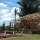 Holz-Bauweise