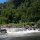 der Fluss führt durch tropische Wälder