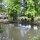 Fisch-Becken