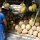 Durian (die Stink-Frucht)