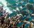 Schwarzachsel-Chromis im Schwarm