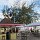 Bar und Restaurant von unserem Anegada-Reef Hotel