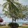 Blick vom Zimmer an die Beach-Front