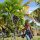 Anguilla Great House Beach Resort