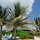 Relax auf Sandy Island