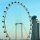 Singapore-Flyer