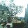 'Loha Prasat Wat Ratchanatda'