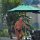 am Swimmingpool