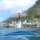 Heinz wird vom Tauchboot aufgefischt