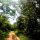 Piste zum 'Kingfisher-Park'