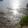 Ebbe ! Niedrig-Wasserstand am Ufer