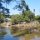 am Fluss