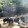 unsere Gruppe mit anderen am Fluss