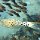 Schrift-Feilenfisch + andere Riff-Fische